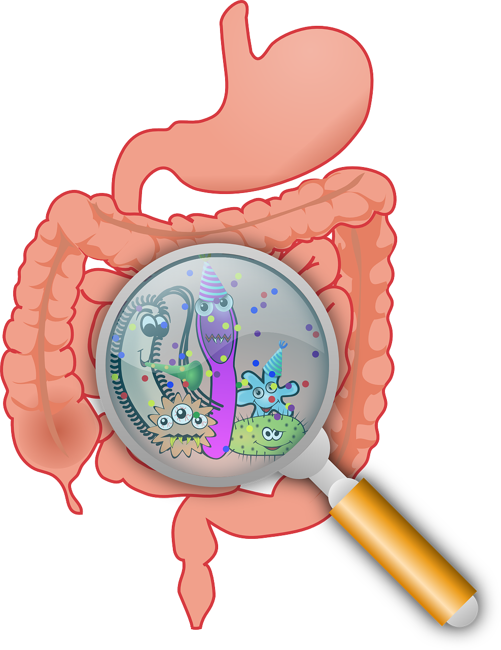 The Mystery of the Human Gut Microbiome